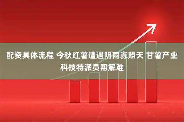 配资具体流程 今秋红薯遭遇阴雨寡照天 甘薯产业科技特派员帮解难